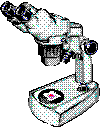 Microscope